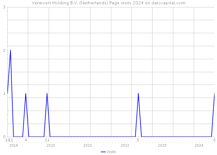 Verwoert Holding B.V. (Netherlands) Page visits 2024 