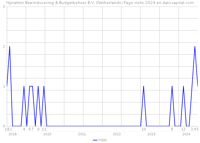 Nijnatten Bewindvoering & Budgetbeheer B.V. (Netherlands) Page visits 2024 