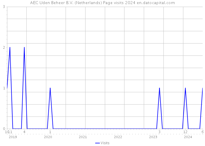 AEC Uden Beheer B.V. (Netherlands) Page visits 2024 