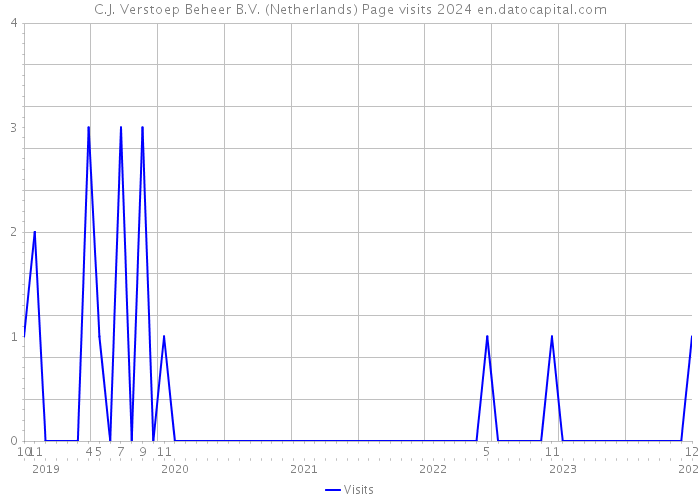 C.J. Verstoep Beheer B.V. (Netherlands) Page visits 2024 
