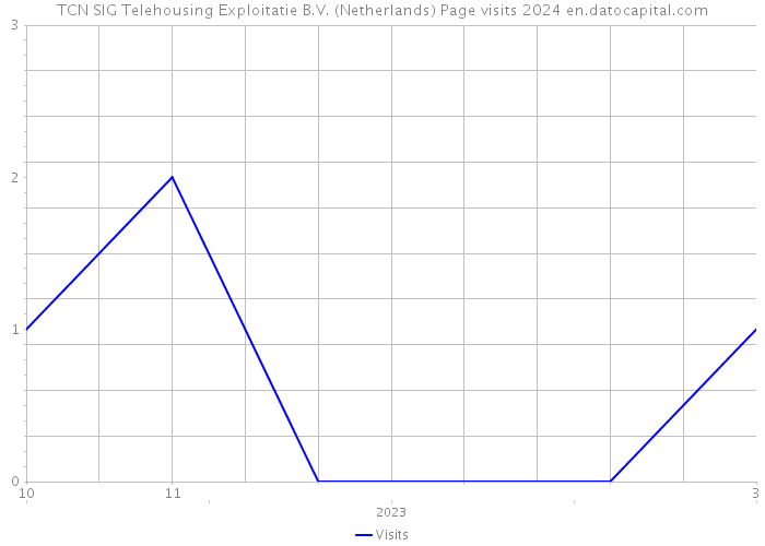TCN SIG Telehousing Exploitatie B.V. (Netherlands) Page visits 2024 
