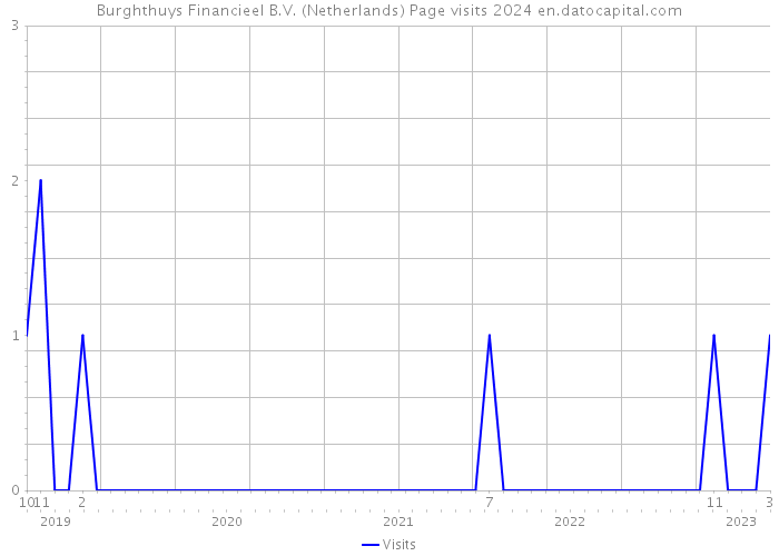 Burghthuys Financieel B.V. (Netherlands) Page visits 2024 