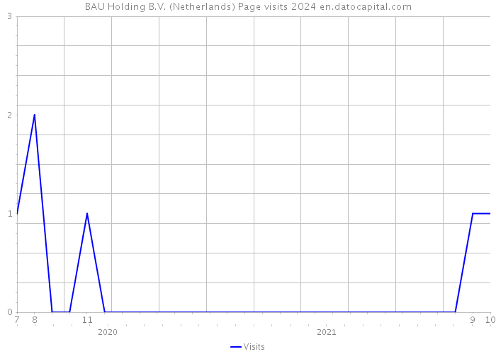 BAU Holding B.V. (Netherlands) Page visits 2024 