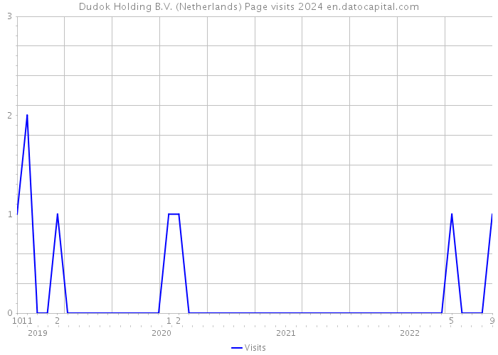 Dudok Holding B.V. (Netherlands) Page visits 2024 