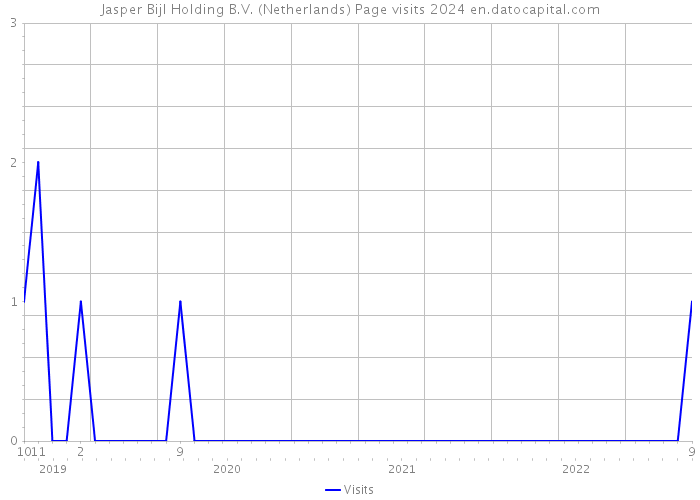 Jasper Bijl Holding B.V. (Netherlands) Page visits 2024 