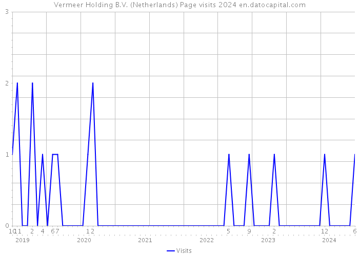 Vermeer Holding B.V. (Netherlands) Page visits 2024 