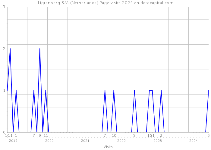 Ligtenberg B.V. (Netherlands) Page visits 2024 