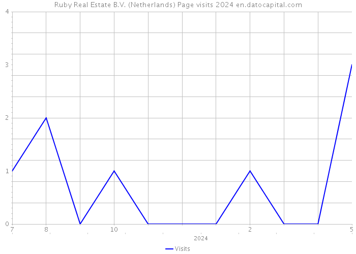 Ruby Real Estate B.V. (Netherlands) Page visits 2024 