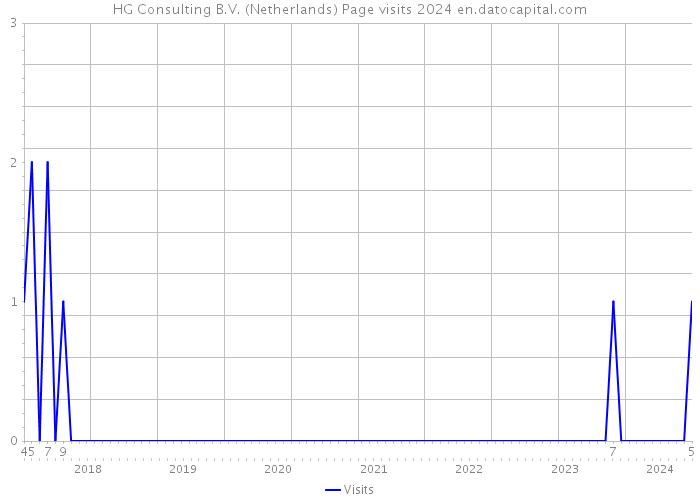 HG Consulting B.V. (Netherlands) Page visits 2024 