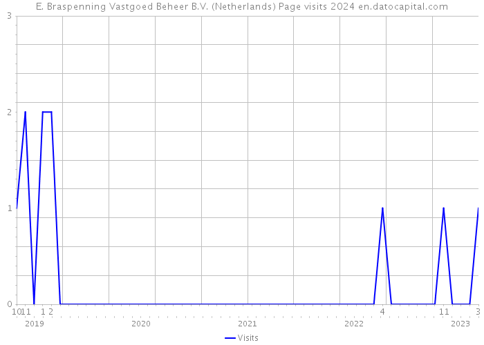E. Braspenning Vastgoed Beheer B.V. (Netherlands) Page visits 2024 