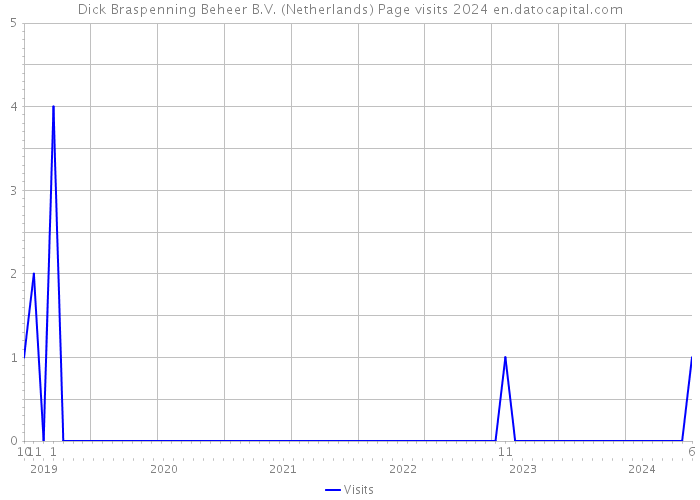 Dick Braspenning Beheer B.V. (Netherlands) Page visits 2024 