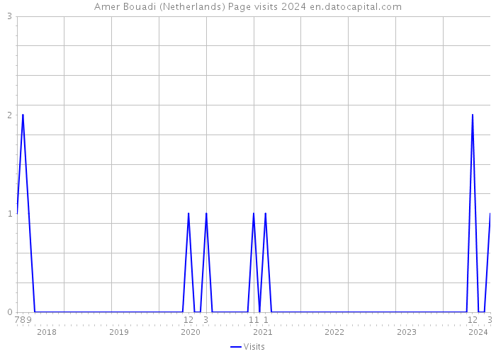 Amer Bouadi (Netherlands) Page visits 2024 