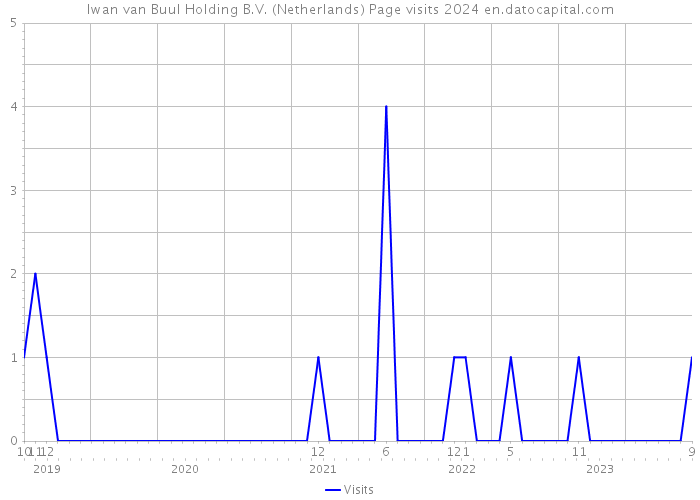 Iwan van Buul Holding B.V. (Netherlands) Page visits 2024 