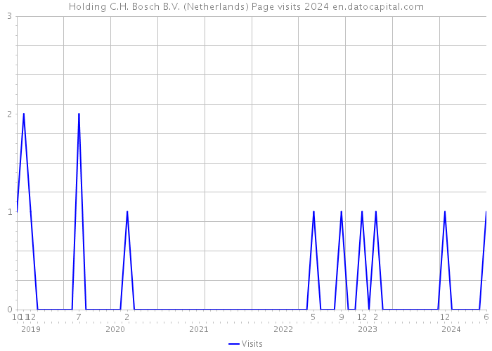 Holding C.H. Bosch B.V. (Netherlands) Page visits 2024 