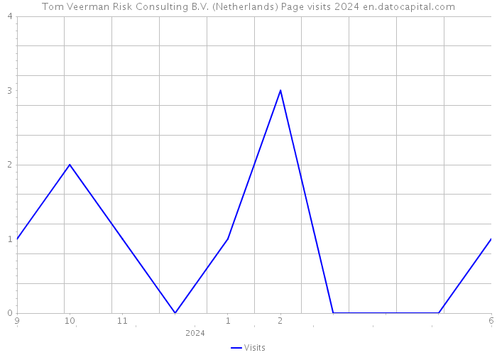 Tom Veerman Risk Consulting B.V. (Netherlands) Page visits 2024 