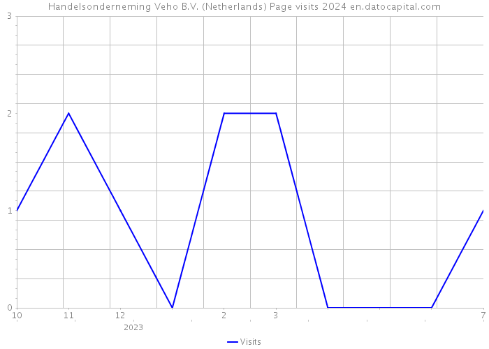 Handelsonderneming Veho B.V. (Netherlands) Page visits 2024 