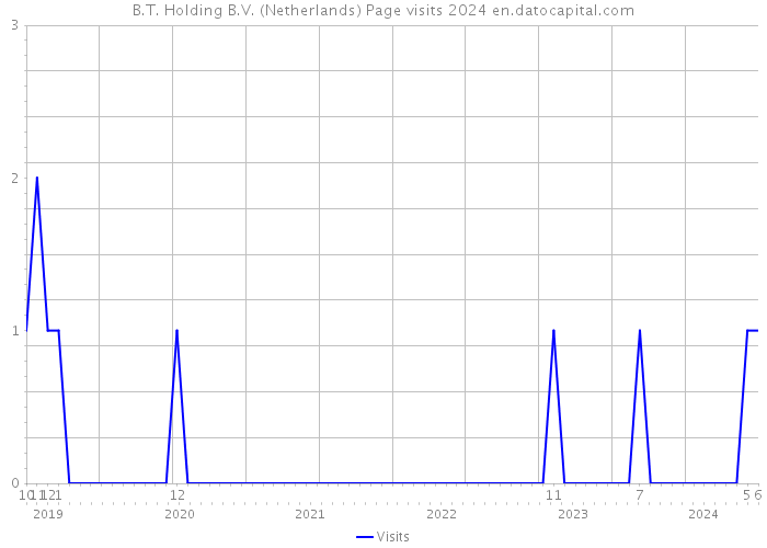 B.T. Holding B.V. (Netherlands) Page visits 2024 