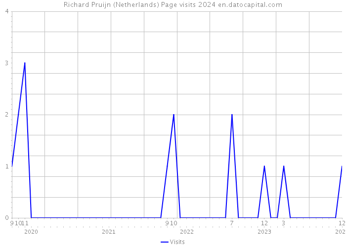 Richard Pruijn (Netherlands) Page visits 2024 