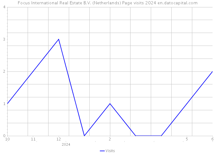 Focus International Real Estate B.V. (Netherlands) Page visits 2024 