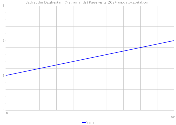 Badreddin Daghestani (Netherlands) Page visits 2024 