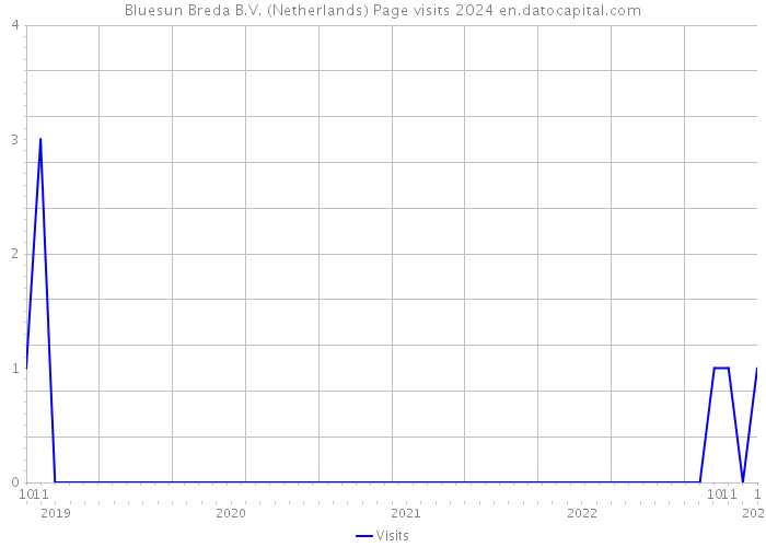 Bluesun Breda B.V. (Netherlands) Page visits 2024 