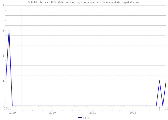 V.B.M. Beheer B.V. (Netherlands) Page visits 2024 