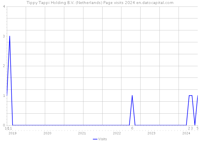 Tippy Tappi Holding B.V. (Netherlands) Page visits 2024 
