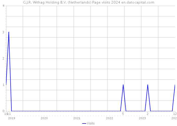 G.J.R. Withag Holding B.V. (Netherlands) Page visits 2024 