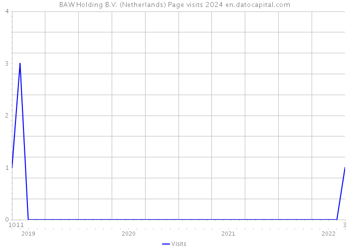 BAW Holding B.V. (Netherlands) Page visits 2024 