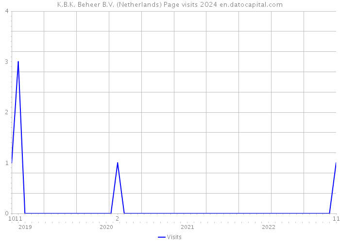 K.B.K. Beheer B.V. (Netherlands) Page visits 2024 