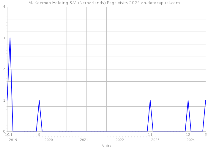 M. Koeman Holding B.V. (Netherlands) Page visits 2024 