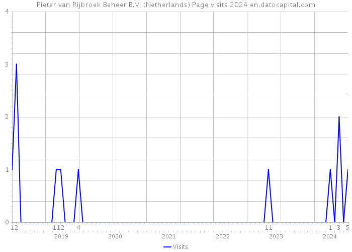 Pieter van Rijbroek Beheer B.V. (Netherlands) Page visits 2024 