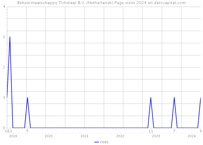 Beheermaatschappij Tichelaar B.V. (Netherlands) Page visits 2024 