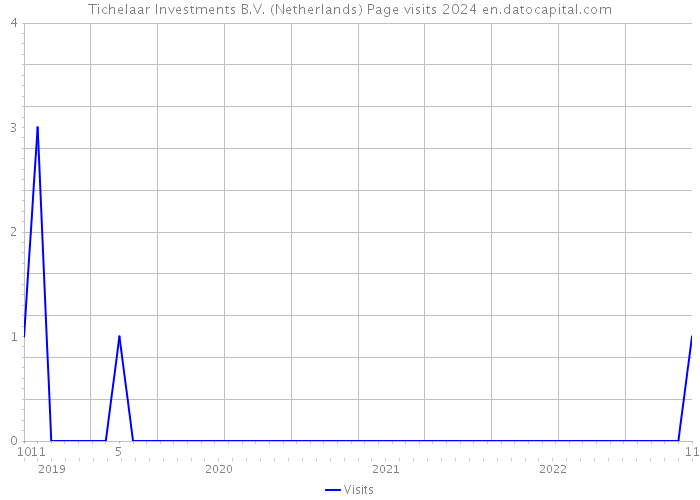 Tichelaar Investments B.V. (Netherlands) Page visits 2024 