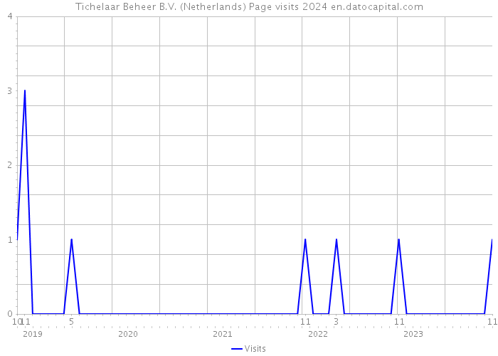 Tichelaar Beheer B.V. (Netherlands) Page visits 2024 