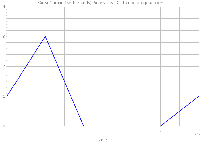 Carst Numan (Netherlands) Page visits 2024 