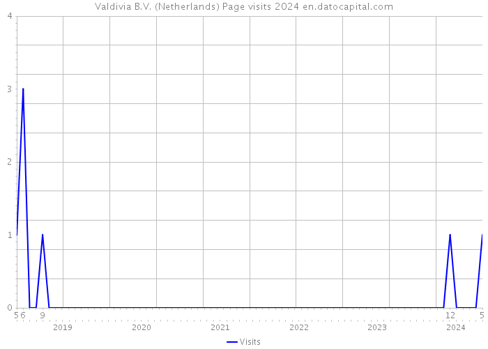 Valdivia B.V. (Netherlands) Page visits 2024 