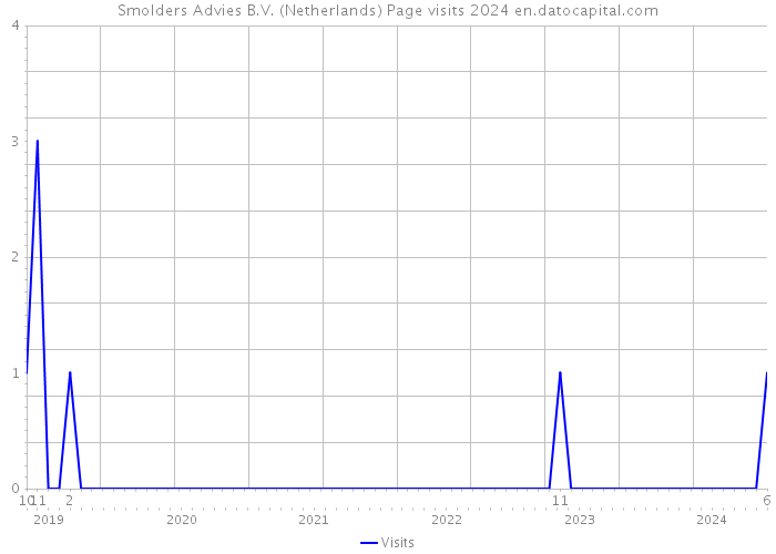 Smolders Advies B.V. (Netherlands) Page visits 2024 