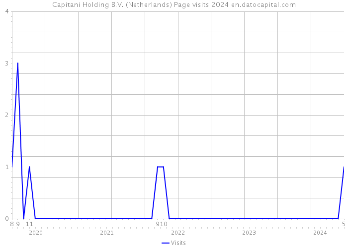 Capitani Holding B.V. (Netherlands) Page visits 2024 