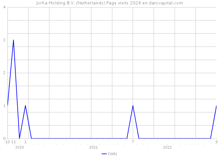 JorKa Holding B.V. (Netherlands) Page visits 2024 