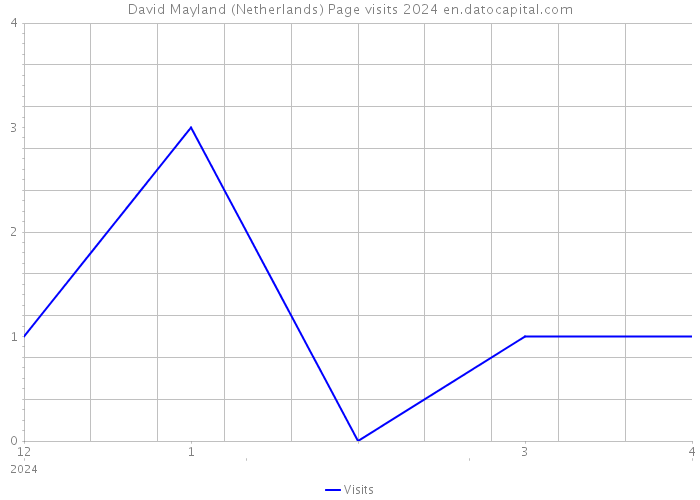 David Mayland (Netherlands) Page visits 2024 