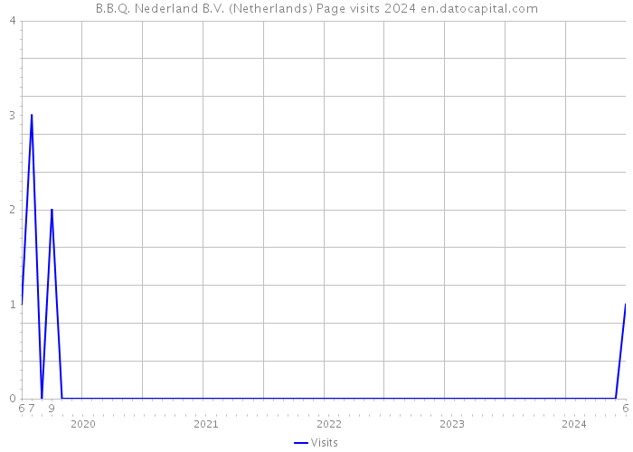 B.B.Q. Nederland B.V. (Netherlands) Page visits 2024 