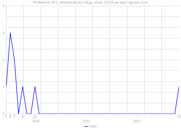 FH Beheer B.V. (Netherlands) Page visits 2024 