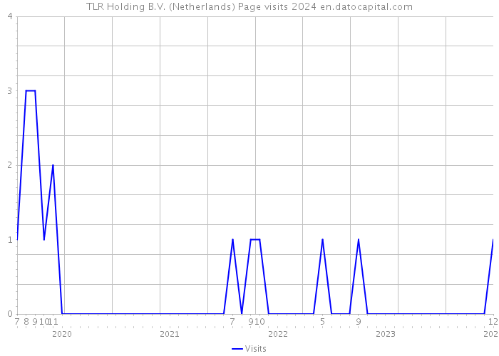 TLR Holding B.V. (Netherlands) Page visits 2024 