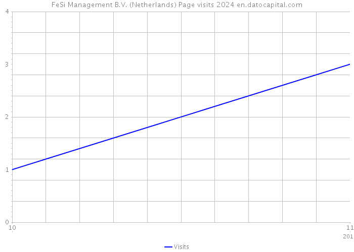 FeSi Management B.V. (Netherlands) Page visits 2024 