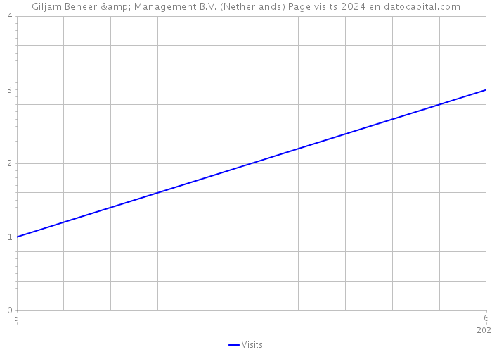 Giljam Beheer & Management B.V. (Netherlands) Page visits 2024 