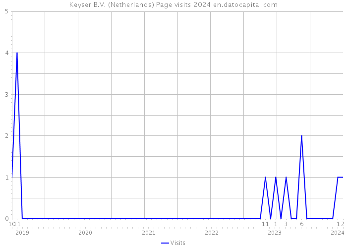 Keyser B.V. (Netherlands) Page visits 2024 