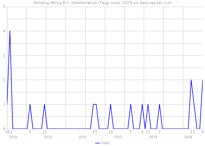 Holding Wong B.V. (Netherlands) Page visits 2024 