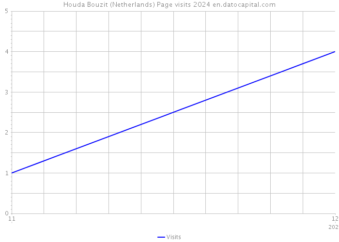 Houda Bouzit (Netherlands) Page visits 2024 