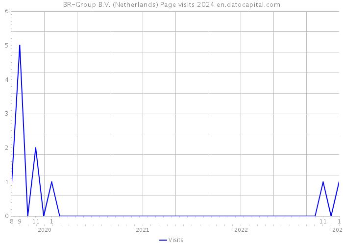 BR-Group B.V. (Netherlands) Page visits 2024 